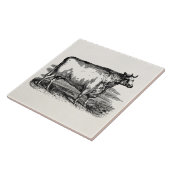 ヴィンテージのダラム牛Bullのパーソナライズなイラストレーション タイル (側面)