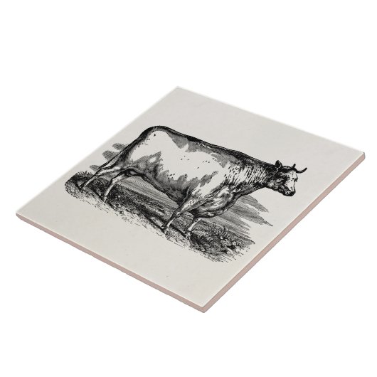 ヴィンテージのダラム牛Bullのパーソナライズなイラストレーション タイル (側面)