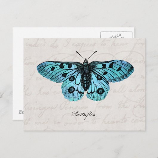 ヴィンテージのティール(緑がかった色)の青い蝶イラストレーション- 1800's ポストカード (正面/裏面)