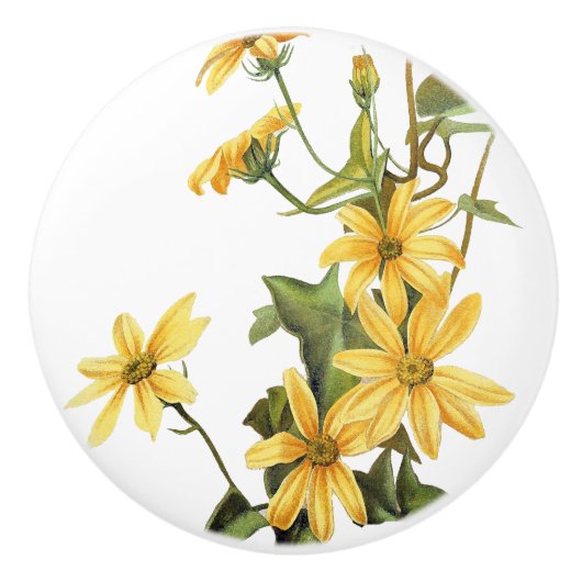 ヴィンテージのデイジーによっては花の野生の花のノブが開花します セラミックノブ (正面)