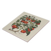 ヴィンテージのトマトのプリントのタイル タイル (側面)