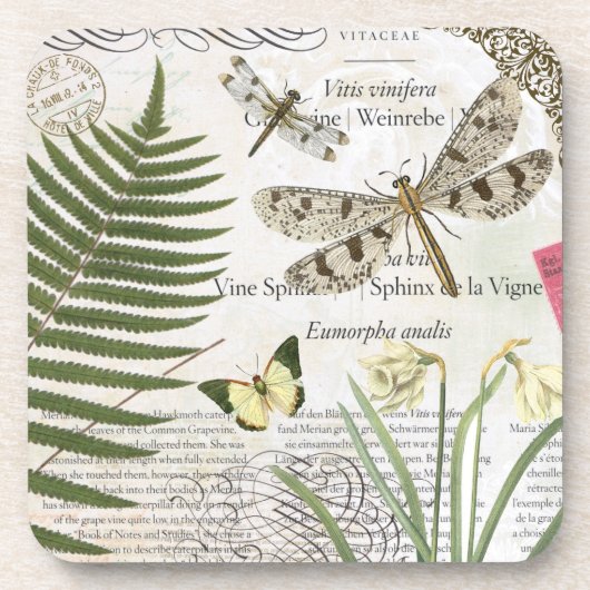 ヴィンテージのトンボのコースター コースター (正面)