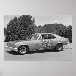 ヴィンテージのドラッグ-ジャングルジム1 ポスター