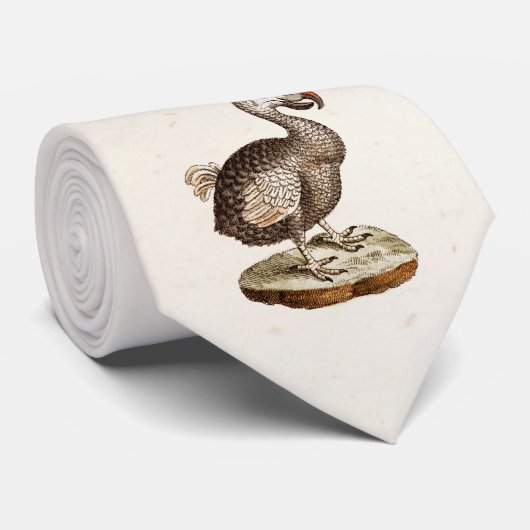 ヴィンテージのドードーの鳥のイラストレーションの18世紀のドードーの鳥 ネクタイ (ロール)