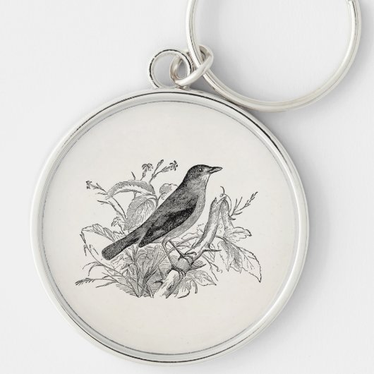 ヴィンテージのナイチンゲールの鳥のパーソナライズなレトロの鳥 キーホルダー (正面)
