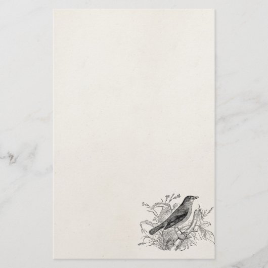 ヴィンテージのナイチンゲールの鳥のパーソナライズなレトロの鳥 便箋 (正面)