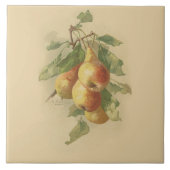 ヴィンテージのナシ タイル (正面)