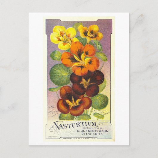 ヴィンテージのナスタトゥルティウムの広告 ポストカード (正面)