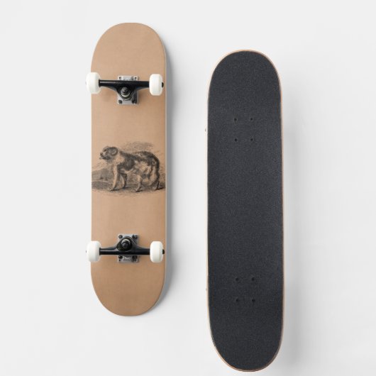 ヴィンテージのニューファウンドランド犬の19世紀犬のイラストレーション スケートボード (正面)