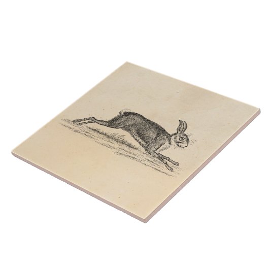 ヴィンテージのノウサギのバニーウサギの19世紀のイラストレーション タイル (側面)