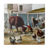 ヴィンテージのノスタルジックな納屋周囲の庭 タイル (正面)