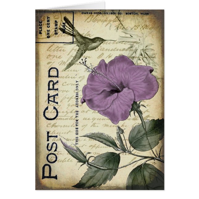 ヴィンテージのハイビスカスのハチドリ (正面)