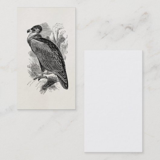 ヴィンテージのハゲタカの鳥のパーソナライズなハゲタカの鳥 名刺 (正面/裏面)