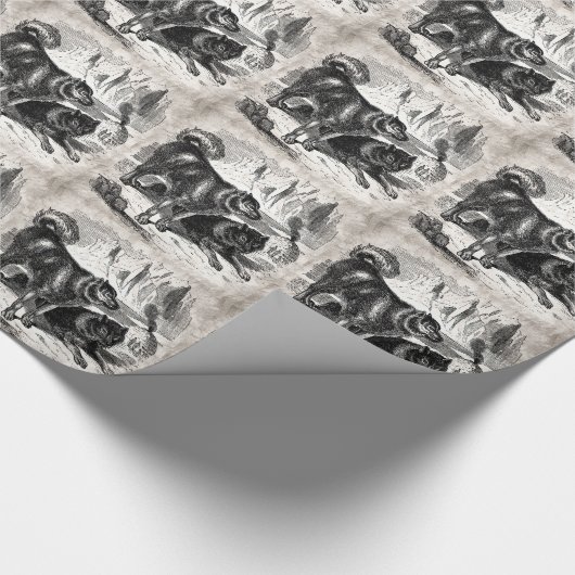 ヴィンテージのハスキーなそり犬の19世紀のハスキーのアラスカ州人犬 ラッピングペーパー (角)