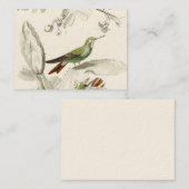 ヴィンテージのハチドリのイラストレーション- 1800's鳥 名刺 (正面/裏面)