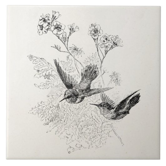 ヴィンテージのハチドリの旧式な鳥のテンプレート タイル (正面)