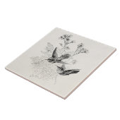 ヴィンテージのハチドリの旧式な鳥のテンプレート タイル (側面)