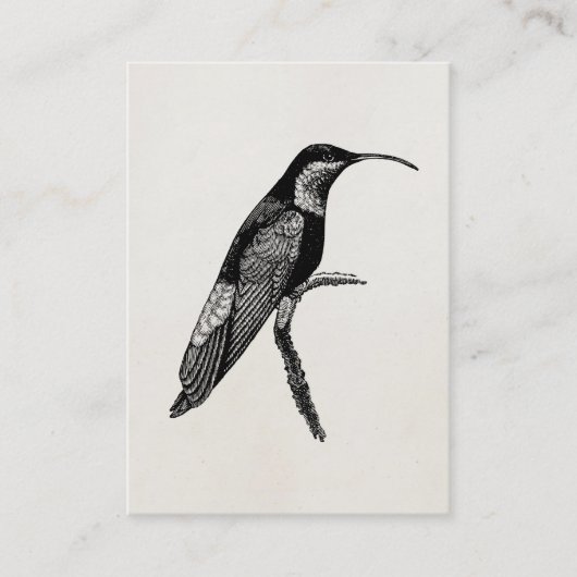 ヴィンテージのハチドリの鳥のイラストレーションのテンプレート 名刺 (正面)