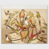 ヴィンテージのハチドリの鳥のハチドリの鳥の鳥 ラッピングペーパー (フラット)