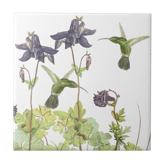 ヴィンテージのハチドリの鳥の野性生物によってはタイルが開花します タイル (正面)