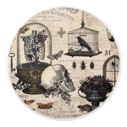 ヴィンテージのハロウィンのモダンな庭 セラミックノブ (正面)