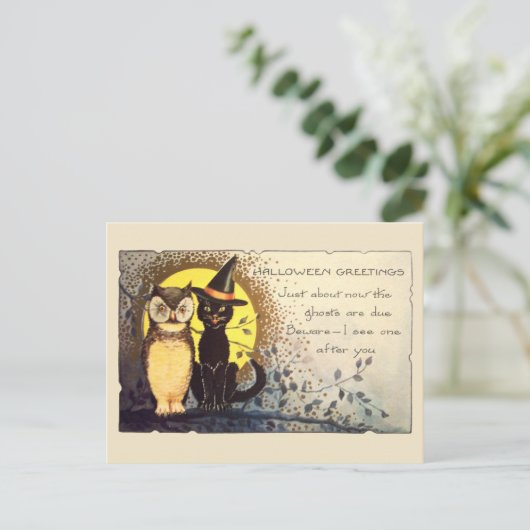 ヴィンテージのハロウィン ポストカードの猫とフクロウ ポストカード (スタンド正面)
