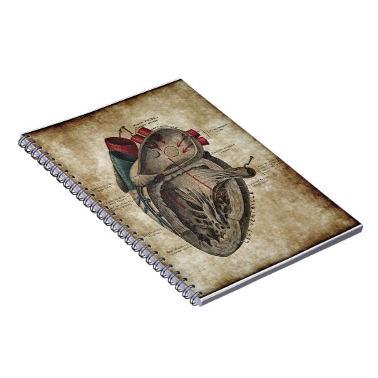 ヴィンテージのハートの図表のノート ノートブック (右側)