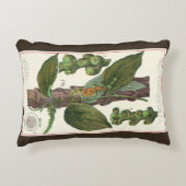 ヴィンテージのハーブ香辛料、黒胡椒の植物 アクセントクッション (正面)