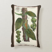 ヴィンテージのハーブ香辛料、黒胡椒の植物 アクセントクッション (裏面(縦))