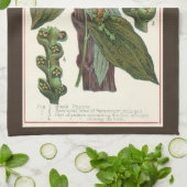 ヴィンテージのハーブ香辛料、黒胡椒の植物 キッチンタオル (折り畳み)