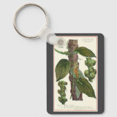 ヴィンテージのハーブ香辛料、黒胡椒の植物 キーホルダー (正面)