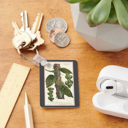 ヴィンテージのハーブ香辛料、黒胡椒の植物 キーホルダー (デスク)