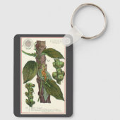 ヴィンテージのハーブ香辛料、黒胡椒の植物 キーホルダー (裏面)