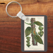 ヴィンテージのハーブ香辛料、黒胡椒の植物 キーホルダー (正面)
