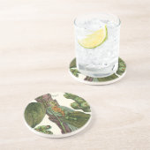 ヴィンテージのハーブ香辛料、黒胡椒の植物 コースター (側面)