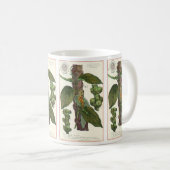 ヴィンテージのハーブ香辛料、黒胡椒の植物 コーヒーマグカップ (正面右)