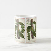 ヴィンテージのハーブ香辛料、黒胡椒の植物 コーヒーマグカップ (中央)