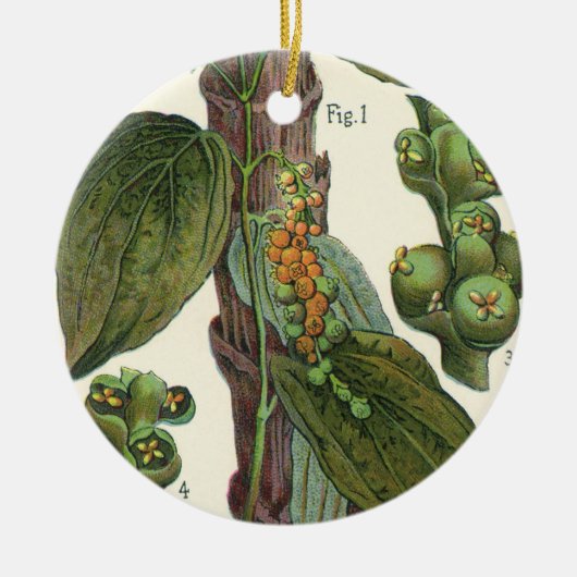 ヴィンテージのハーブ香辛料、黒胡椒の植物 セラミックオーナメント (正面)