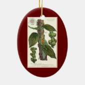 ヴィンテージのハーブ香辛料、黒胡椒の植物 セラミックオーナメント (裏面)