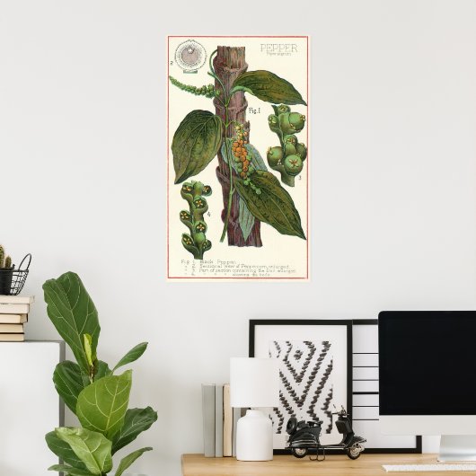 ヴィンテージのハーブ香辛料、黒胡椒の植物 ポスター (ホームオフィス)