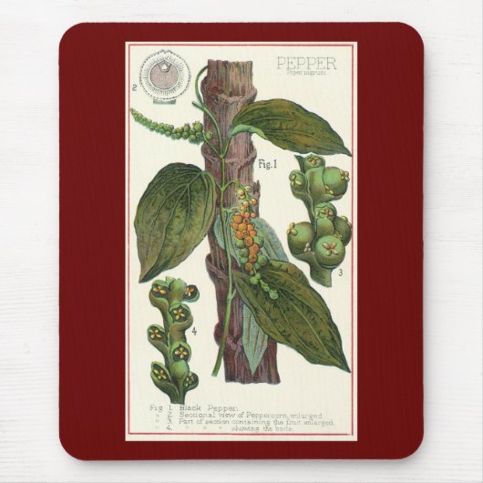 ヴィンテージのハーブ香辛料、黒胡椒の植物 マウスパッド (正面)