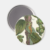 ヴィンテージのハーブ香辛料、黒胡椒の植物 マグネット (正面/裏面)