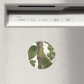 ヴィンテージのハーブ香辛料、黒胡椒の植物 マグネット (インサイチュ (食洗機))