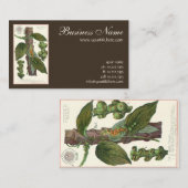 ヴィンテージのハーブ香辛料、黒胡椒の植物 名刺 (正面/裏面)
