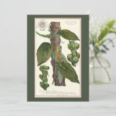 ヴィンテージのハーブ香辛料、黒胡椒の植物 招待状 (スタンド正面)