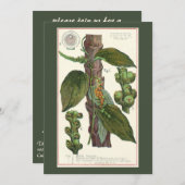 ヴィンテージのハーブ香辛料、黒胡椒の植物 招待状 (正面/裏面)