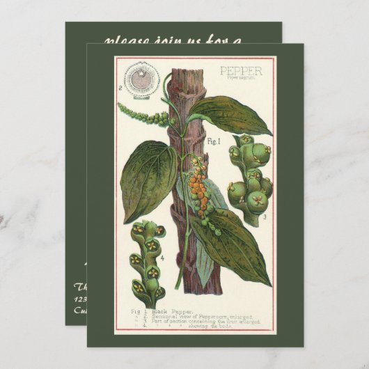 ヴィンテージのハーブ香辛料、黒胡椒の植物 招待状 (正面/裏面)