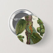 ヴィンテージのハーブ香辛料、黒胡椒の植物 缶バッジ (正面&裏面)