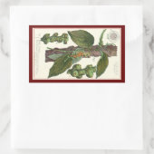 ヴィンテージのハーブ香辛料、黒胡椒の植物 長方形シール (バッグ)