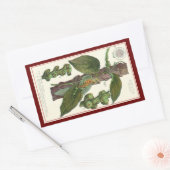 ヴィンテージのハーブ香辛料、黒胡椒の植物 長方形シール (封筒)